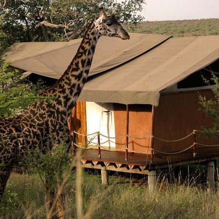Ibrahim Garden Hostel アルーシャ エクステリア 写真