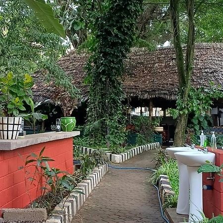 Ibrahim Garden Hostel アルーシャ エクステリア 写真