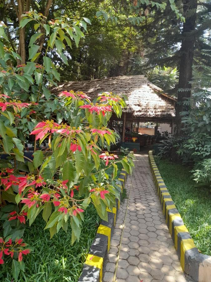 Ibrahim Garden Hostel アルーシャ エクステリア 写真