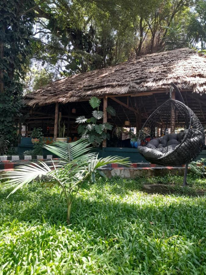 Ibrahim Garden Hostel アルーシャ エクステリア 写真